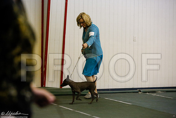 _JJ_3760-DentonMar2015-HR3