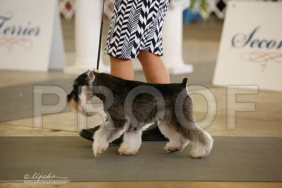 _JJ_2193-DallasJul2014-HR3