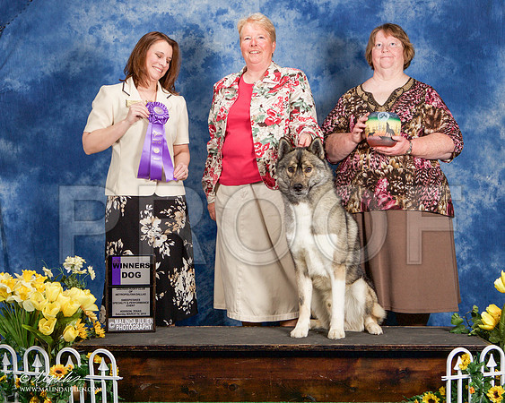 _ST_4126-AddisonHuskyMar2015-HR3