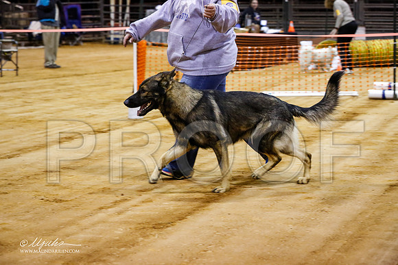 GSD-7278-MrshllDec13-HR