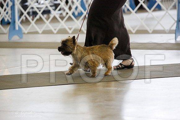 _JN_4808-DallasJul2014-HR3