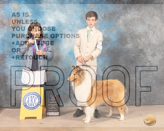 Collie Rough #20 Sun BOWM Judge Joan Liebes-MMJ_4898-Abilene2022-HR3