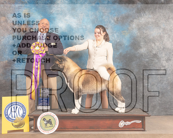 Akita #16 Fri BISS Judge Hal Biermann-MMJ_7051-FW2022-HR3