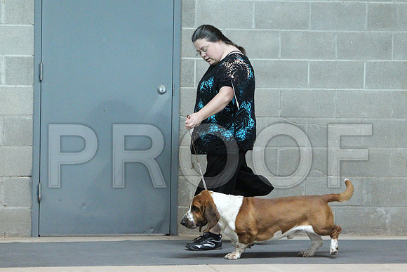 BassetCCL_3199LR