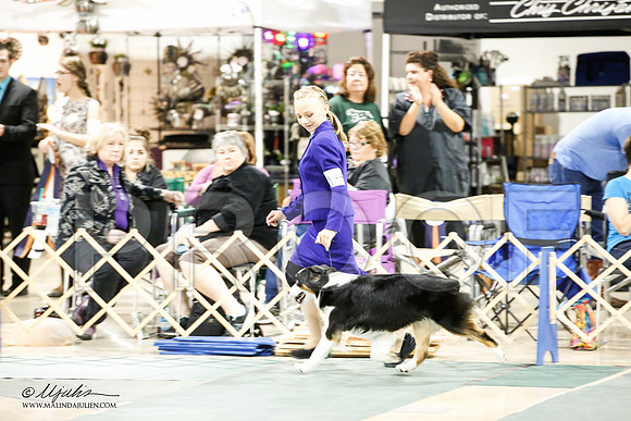 _JJ_6843-ASCACollegeStationNov2014-HR3