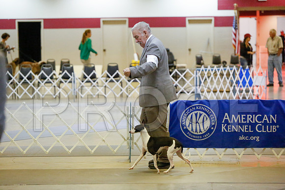 _JJ_1637-AmarilloSept2014-HR3