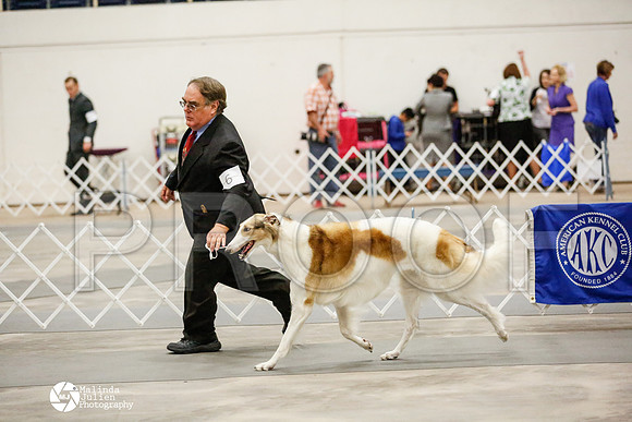 _RH_1761-AblnMay2014-web