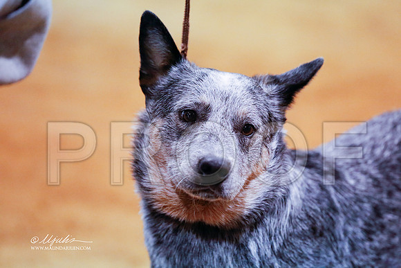 ACD-9106-MrshlDec13-HR