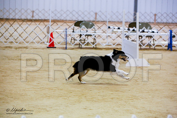 _JN_7350-ASCACollegeStationNov2014-HR3