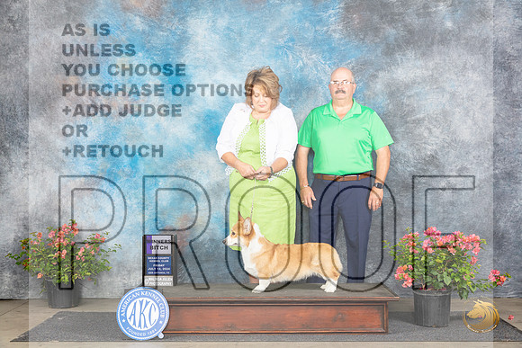 Pembroke Welsh Corgi #12 Fri WB Judge Paul F Willhauck__JP_4838_San Antonio_2024_HR3