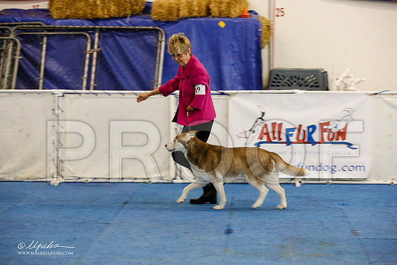 _M3_9103-AddisonHuskyMar2015-HR3