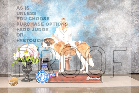 St Bernard #5 Sun WDBOS Judge Luis Sosa NO JUDGESt Bernard #5 Sun WDBOS Judge Luis Sosa NO JUDGE_MJ_7719_Houston_2022_HR3_Houston_2022_HR3