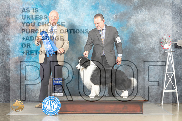 Border Collie #11 Sun G1 Judge Eric Liebes_MJ_4978_Amarillo_2022_HR3