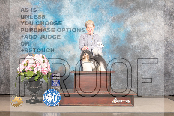 Havanese #29 Sat WD Judge Polly Smith_MJ_7031_Houston_2022_HR3