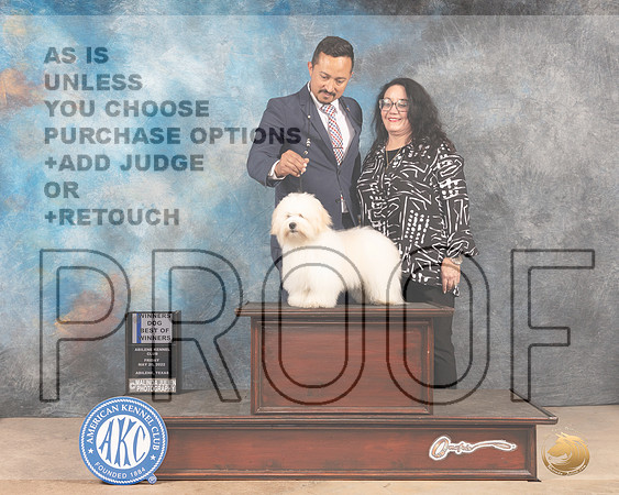Coton #9 Fri WDBOW Judge Thomson Stansfield Jr-MMJ_3010-Addison2022-HR3