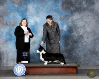 Heather Miller Midland 2025