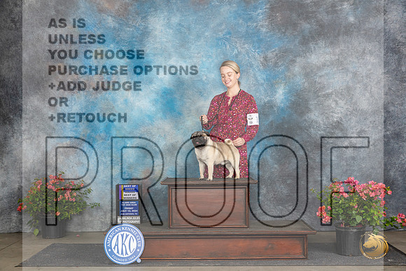 Pug #15 Fri BOBBOWM Judge Azalea Alvarez__JP_4226_San Antonio_2024_HR3
