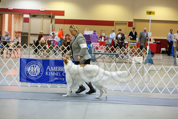 _JJ_3769-AmarilloSept2014-HR3