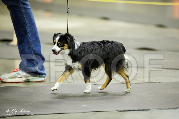 _JJ_6741-BeltonJan2015IABCA-HR3