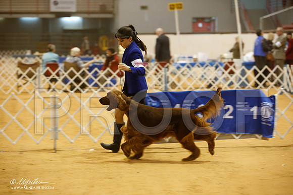 _JJ_7525-GlenRoseJan2015-HR3