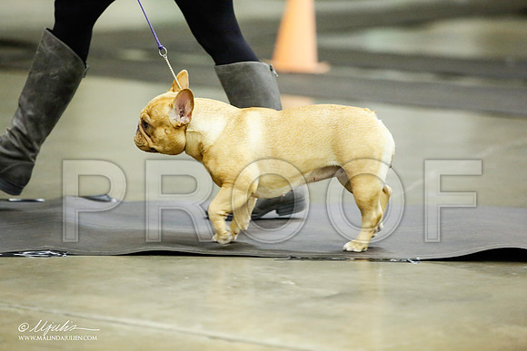 _JJ_5593-BeltonJan2015IABCA-HR3
