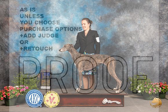 Greyhound #6 Sat BOBBOW Judge Allen Odom_MJ_0161_SA_2022_HR3