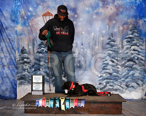 staffy-7048-MrshlDec13-HR