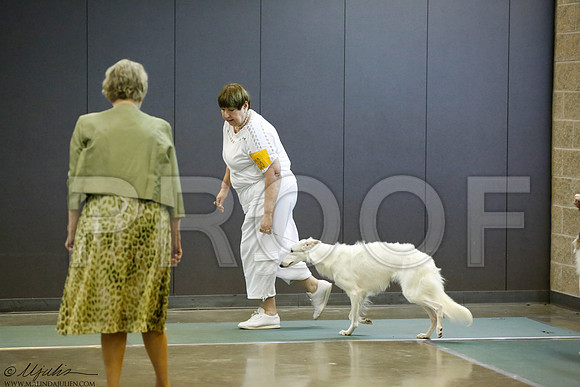 _J3L1229-BeltSep2014-HR