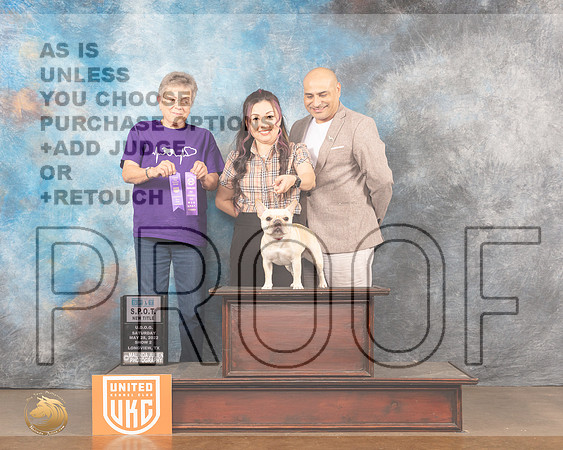 French Bulldog #122 SPOT Judge Nancy AndersonMMJ_5648_Lngvw2022HR3