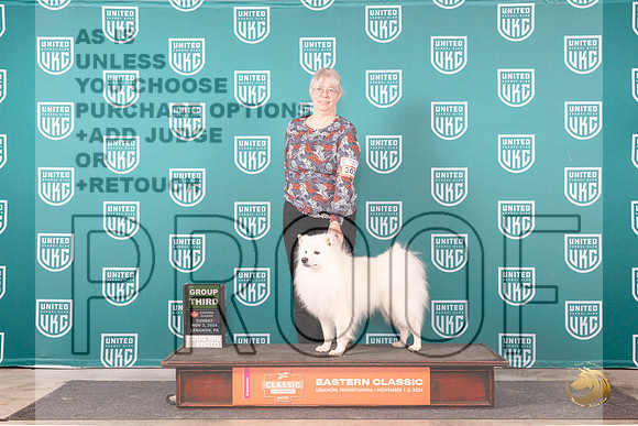 American Eskimo #303 Sun G3 Judge Larry Hansen__JP_2280_UKCEastern_2024_HR3
