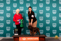 Staffordshire Bull Terrier #286 Fri G3 Judge Kathryn Baxter