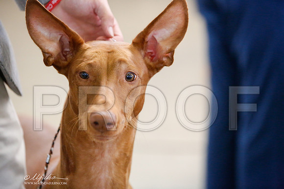 _JJ_4385-DallasJul2014-HR3