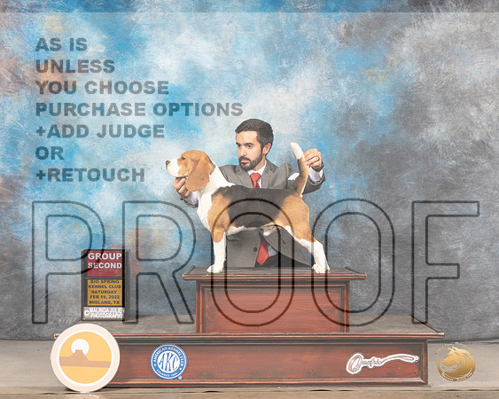 Beagle 15 #9 Sat G2 Judge Judy BrownMMJ_4769_Mdlnd2022_HR3