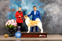 Akita #6 FRI BOB Judge Patricia Sosa