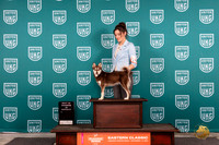 Alaskan Klee Kai #174 Thur BOW Judge Tony Raposo