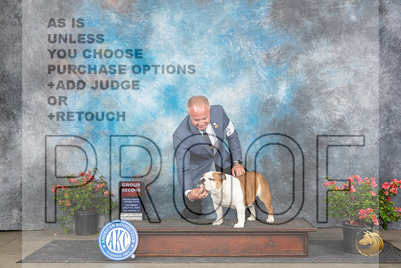Bulldog #16 Sat G2 Judge Karen McFarlane__JP_5560_San Antonio_2024_HR3