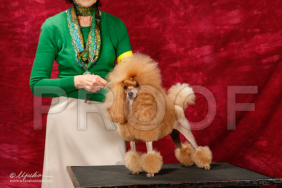 _ST_2812-2-BeltonJan2015IABCA-HR3