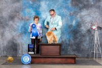 Pomeranian #19 Fri G1 Judge Pat Trotter