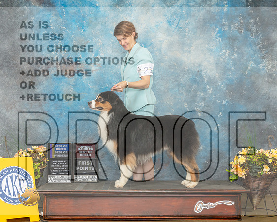 Australian Shepherd #23 Thurs BOBOHBOBBOW Judge John Wade-MMJ_8621-NWARK2022-HR3