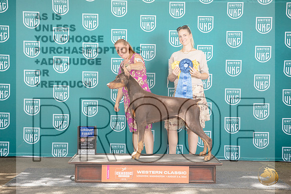Dobermann Pinscher #409 Sun G1 Judge Sharron Griffin__JP_1980_Longview WA_2024_HR3
