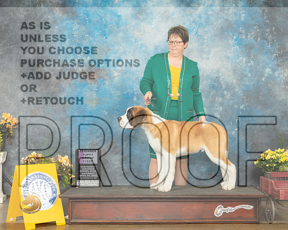 St Bernard #5 Sat PG1 Judge Grace Fritz-MMJ_0308-NWARK2022-HR3