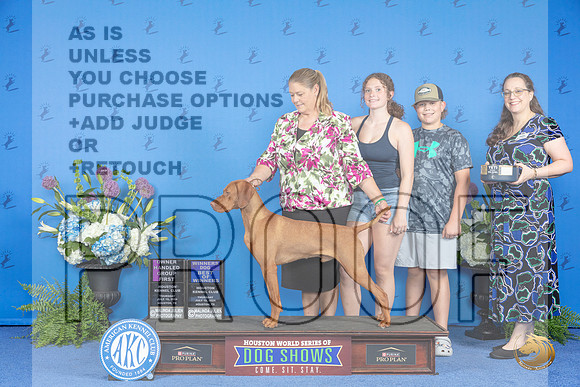 Vizsla #21 THUR WD BOW OHG1 Judge Wood Wornall__JP_8385_Houston_2024_HR3