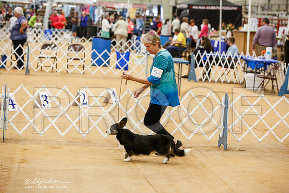 _JN_4950-TxArJun2014-HR3