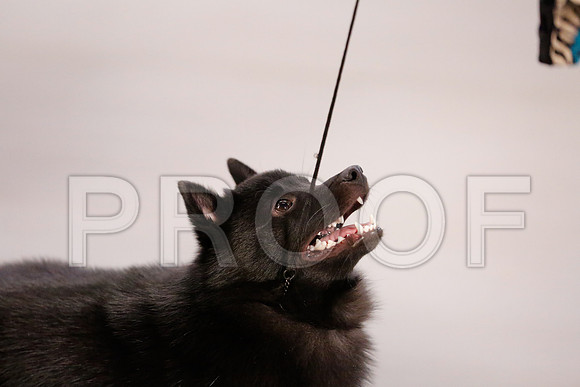 _RH_7720-CarlrolltonSept2014-HR3