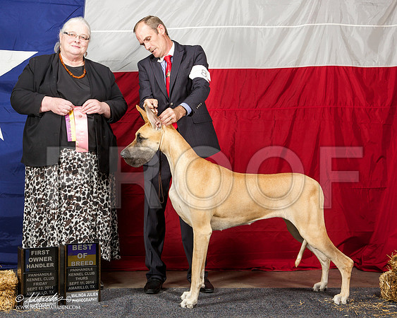 _ST_1637-AmarilloSep2014-HR3
