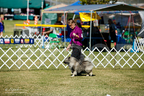_JJ_1586-AlamogordoOct2014-HR3