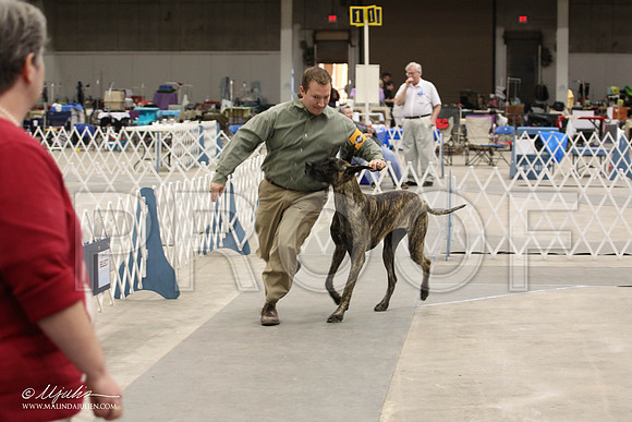 IMG_9301-Abilene2011-HR3