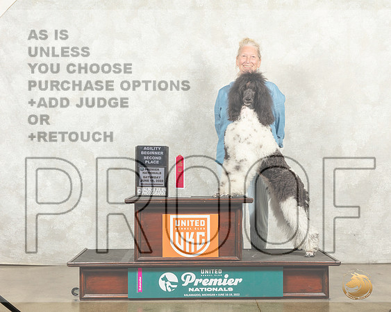 Poodle Std MC #1144 __MJ_9153_Premier_2022_HR3