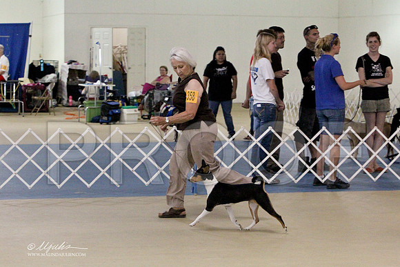 AQ5G7523LR-2