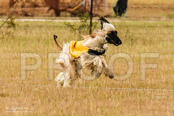 _MJ_4930-AfgBeltonOct2014-HR3